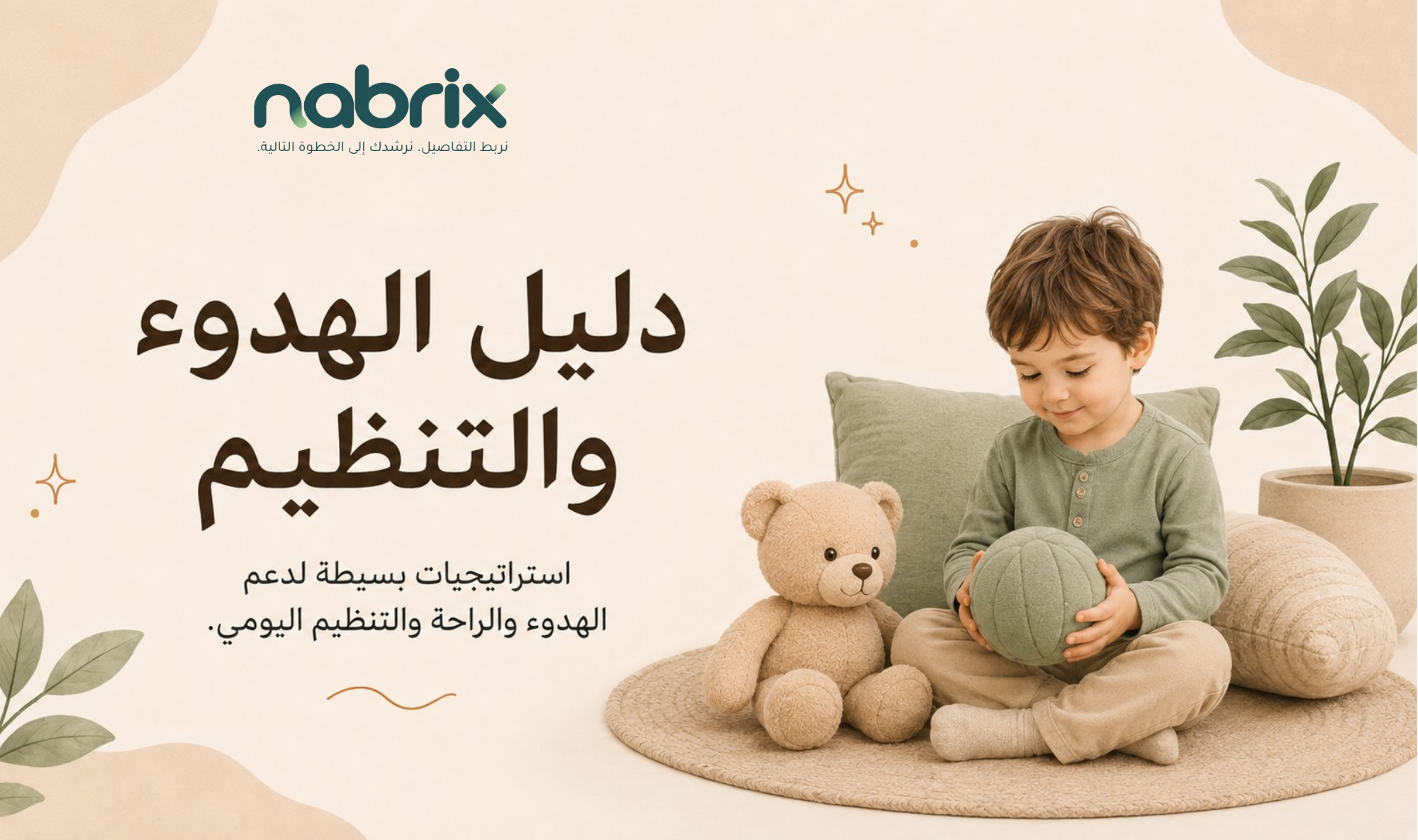 دليل الهدوء والتنظيم